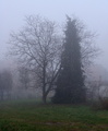 dvoje u magli.&hellip;