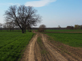 Slavonska razg&hellip;