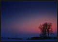 Rapsodija u pl&hellip;