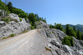Uzdužna velebi&hellip;
