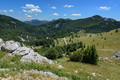 Ovčice nad sje&hellip;