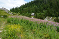 Kućica u cvije&hellip;