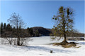 Zaleđeni &quot&hellip;