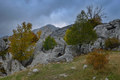 Jesenska palet&hellip;