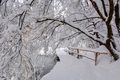 U carstvu bjel&hellip;