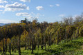 Vinogradom kru&hellip;