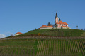 Čuvar vinograd&hellip;