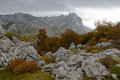 Oko Tulovih gr&hellip;