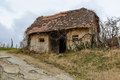 Bogica