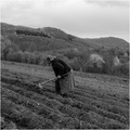 Proljetni rado&hellip;