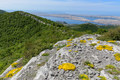 Proljeće