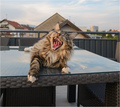 Metro Goldwyn &hellip;