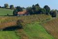 (vino)Gradska &hellip;