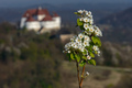 Proljeće nad T&hellip;
