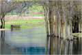 Zimska refleks&hellip;