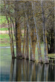 zimska refleks&hellip;