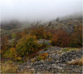 Bijes Crne kra&hellip;