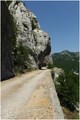 Uzdužna velebi&hellip;
