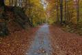 Majstorska ces&hellip;