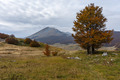 Dušice i Sveto&hellip;