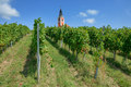 Nikako iz vino&hellip;