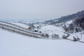 Vinogradom kru&hellip;