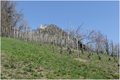 Čuvar vinograd&hellip;