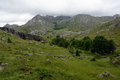 Velebitska crt&hellip;