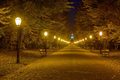 Maksimir......&hellip;