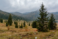 Veliki Lubenov&hellip;