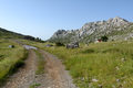 Velebitska lut&hellip;