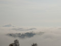 Zagreb sa Zele&hellip;