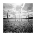 Pinhole day 20&hellip;