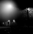 Briga me fraje&hellip;