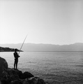 No fish - no d&hellip;