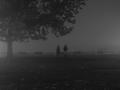park nocu