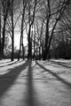zubato sunce u&hellip;