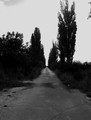 the road to un&hellip;