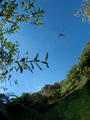 Gazivoda (Gerr&hellip;