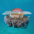 Mediteranska m&hellip;