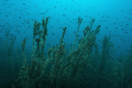 Vransko jezero&hellip;