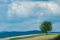 bayerischer wa&hellip;
