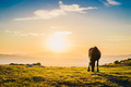 Sunrise with h&hellip;