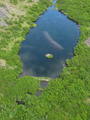 Perfektan beav&hellip;