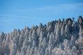 Pogled...s pro&hellip;