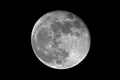 Pun Moon