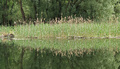 Kopačke reflek&hellip;