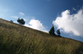 Zavižanska kos&hellip;