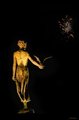Dama, galeb, v&hellip;