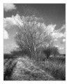 Vojvodina i su&hellip;